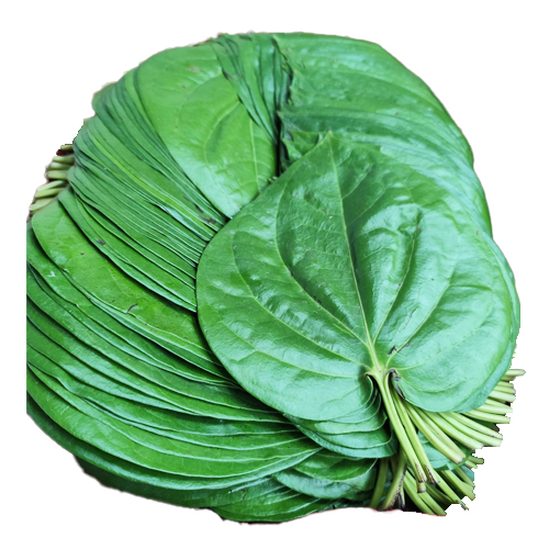 Betel Leaves- Pan Pata- Betelpfefferblätter 